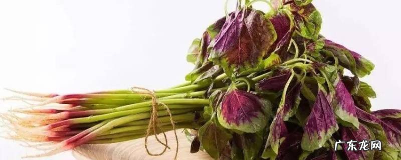 苋菜怎样洗 苋菜怎么处理干净