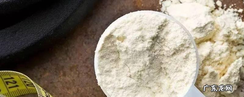 蛋白质粉怎么冲泡没有疙瘩 蛋白粉怎么冲泡不结块