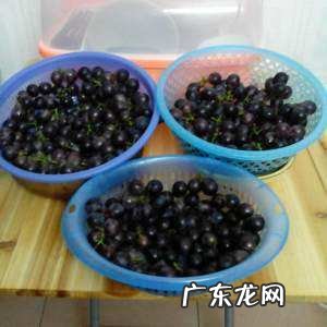葡萄酒发酸是怎么回事,葡萄酒为什么会发酸