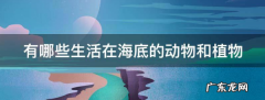 大海里有哪些动物和植物,有哪些生活在海底的动物和植物