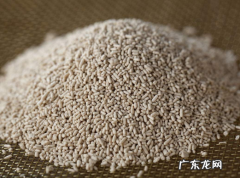 低温发酵多少度,零下多少度酵母菌会停止发酵