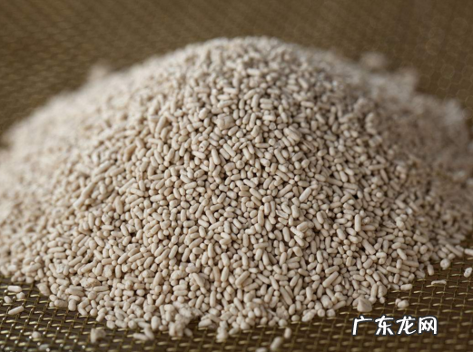 低温发酵多少度,零下多少度酵母菌会停止发酵
