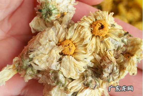 如何鉴别胎菊里面有硫磺,如何识别硫磺熏的胎菊真伪