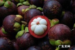 山竹中间的核能吃,山竹中间的核可以吃