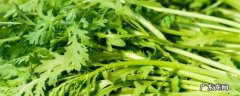 茼蒿怎么炒菜好吃又简单 茼蒿怎么做好吃家常炒菜