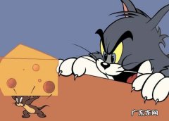 哪一集杰瑞离家出走,猫和老鼠杰瑞去了大城市是哪一集