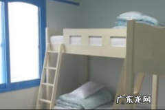学生宿舍怎么驱赶老鼠,学校宿舍里有老鼠怎么办