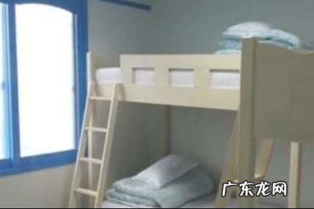 学生宿舍怎么驱赶老鼠,学校宿舍里有老鼠怎么办