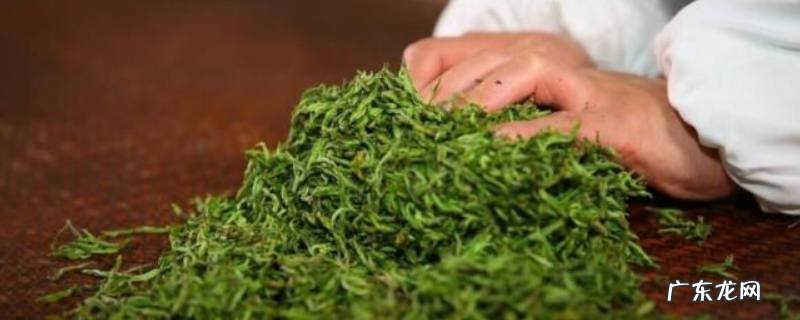 制作茶叶的步骤 家庭茶叶制作过程步骤