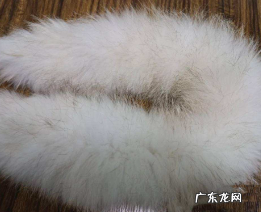 滩羊毛领怎么清洗,羽绒服特别脏怎么洗