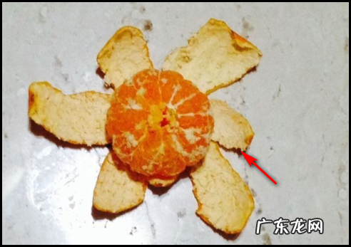 桔皮怎么做成陈皮,自己在家怎样制作陈皮