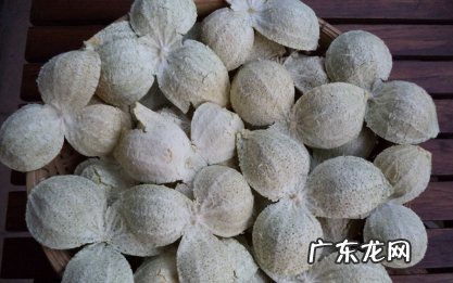 桔皮怎么做成陈皮,自己在家怎样制作陈皮