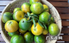 桔皮怎么做成陈皮,自己在家怎样制作陈皮