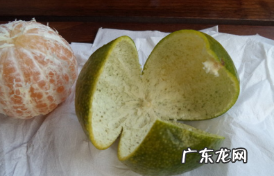 桔皮怎么做成陈皮,自己在家怎样制作陈皮