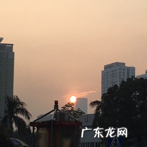 已揽件是什么意思,揽件是什么意思