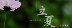 关于立夏的知识有哪些 立夏的特点有什么