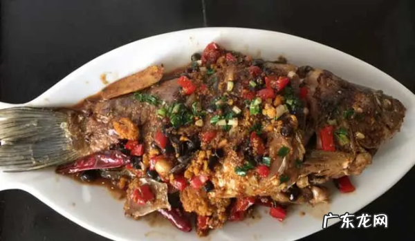 湘江里面有什么鱼,湘江边钓鱼多长钓竿最合适