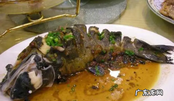 湘江里面有什么鱼,湘江边钓鱼多长钓竿最合适