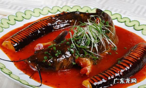 湘江里面有什么鱼,湘江边钓鱼多长钓竿最合适