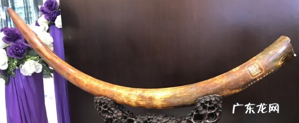 文玩冒冒是什么东西,文玩帽帽是什么