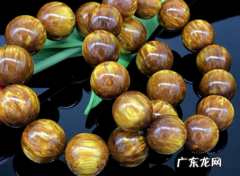 金丝柳柳是什么,金丝柳是一种什么植物