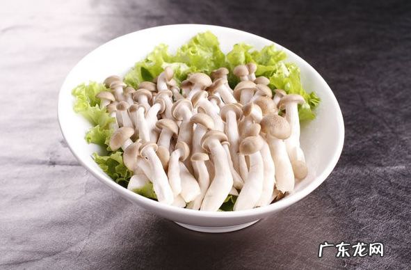 海鲜菇能放多久,海鲜菇能保存多长时间