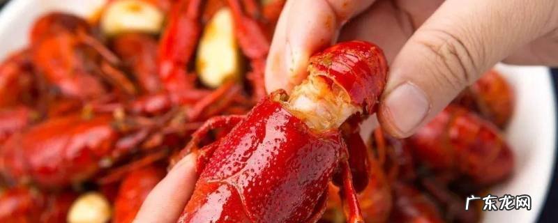 怎样煮龙虾才好吃 怎样煮龙虾才好吃视频