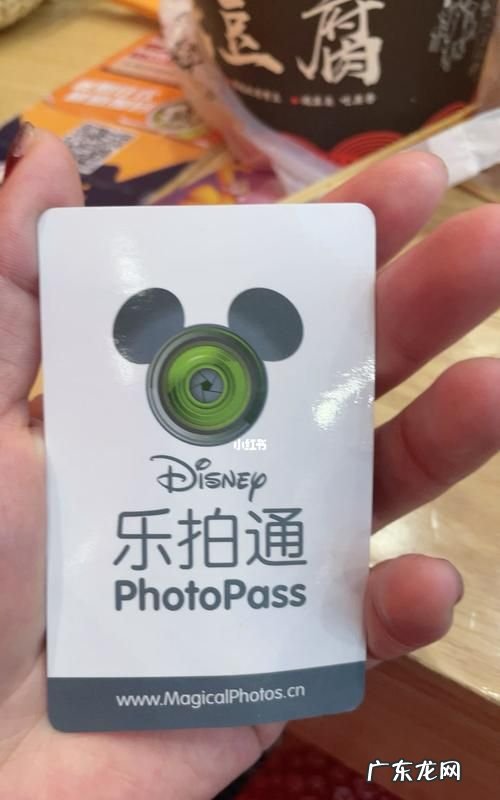 迪士尼乐拍通是什么,迪士尼乐园 拍照