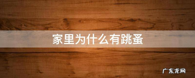 家里突然有跳蚤是什么原因 家里为什么有跳蚤