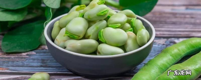 蚕豆怎样做好吃法大全 蚕豆怎样做好吃