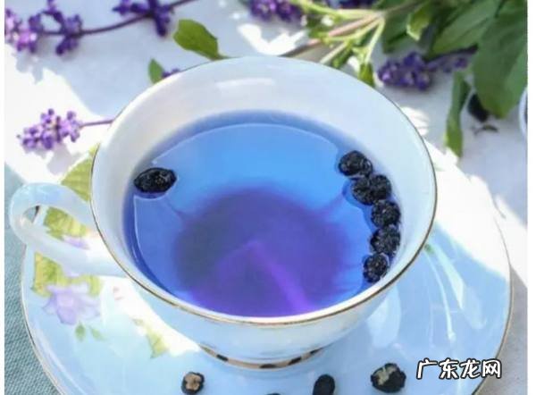 黑枸杞可以热水泡,黑枸杞可以热水泡