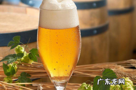 bavaria是什么啤酒,德国啤酒文化的简单介绍