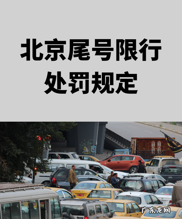 北京违反尾号限行怎么处罚,北京尾号限行处罚规定最新