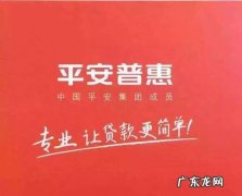 平安普惠利息是多少,平安普惠利息多少
