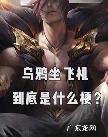 网络乌鸦坐飞机是什么梗 啥意思,乌鸦坐飞机是什么梗