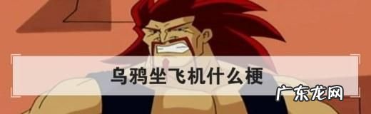 网络乌鸦坐飞机是什么梗 啥意思,乌鸦坐飞机是什么梗