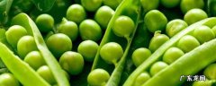 豌豆放冰箱发芽了可以吃吗 豌豆放冰箱发芽了还能不能吃