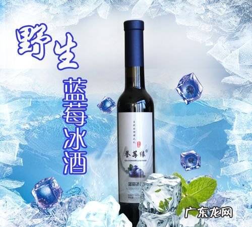 蓝莓酒的功效与作用,蓝莓酒的功效与作用及禁忌症