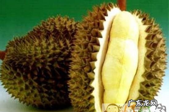 孕妇可以吃榴莲早期,孕妇可以吃榴莲孕早期