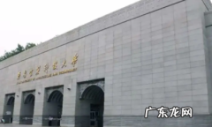 褐色裤子配什么颜色的上衣,棕色裤子配什么颜色上衣