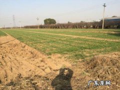 未利用地包括哪些地类,农用地建设用地未利用地三大类