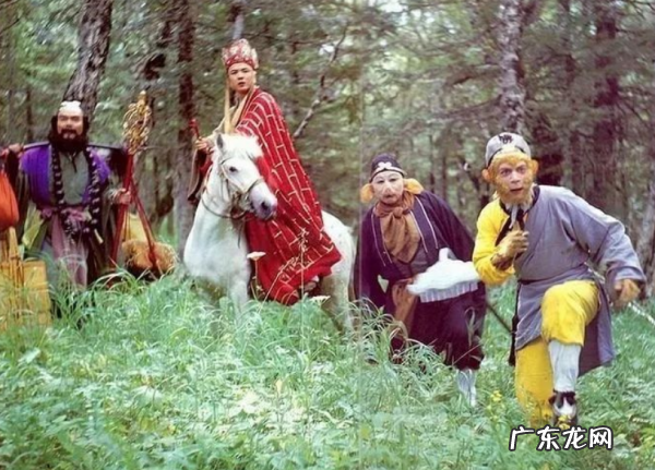 唐僧法号是什么号是什么,唐僧法号是什么