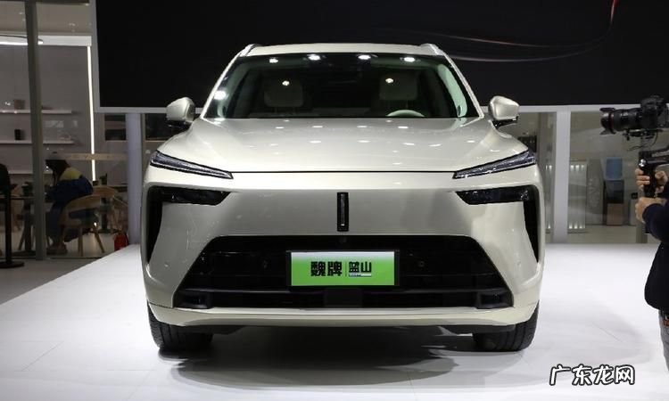 混动车上什么牌,混合动力汽车是什么颜色牌照
