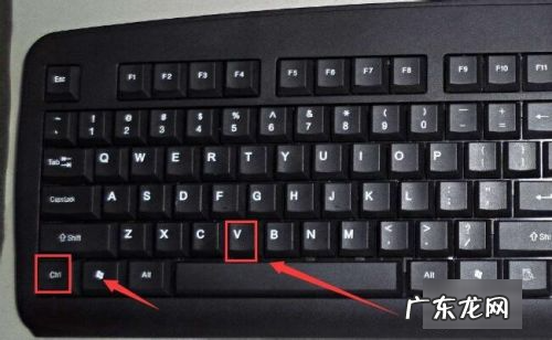 电脑哪一个键是复制粘贴,电脑上复制的快捷键是什么
