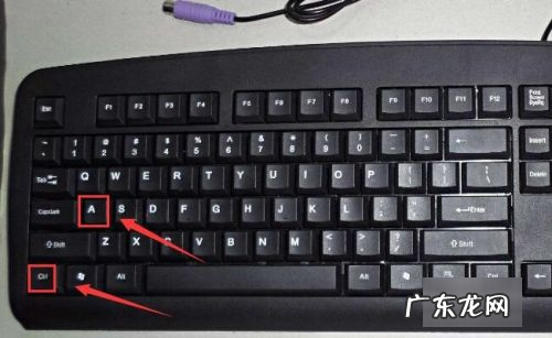 电脑哪一个键是复制粘贴,电脑上复制的快捷键是什么