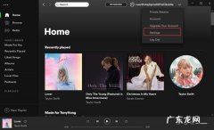 spotify怎么歌曲,spotify没有选项