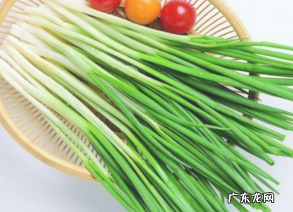 葱是什么味道的,佛跳墙的味道是什么样子