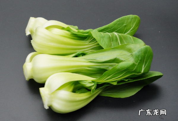 常见的蔬菜名称及,蔬菜有哪些种类