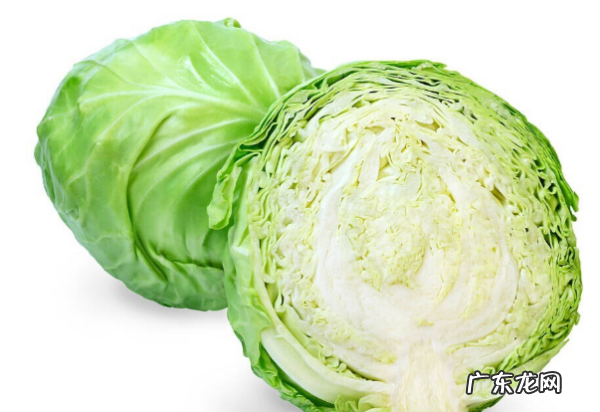 常见的蔬菜名称及,蔬菜有哪些种类