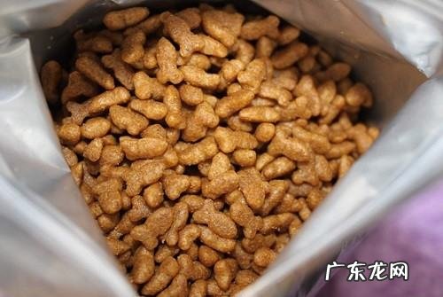 中华田园猫可以发腮,听说田园猫也发腮啦是真的